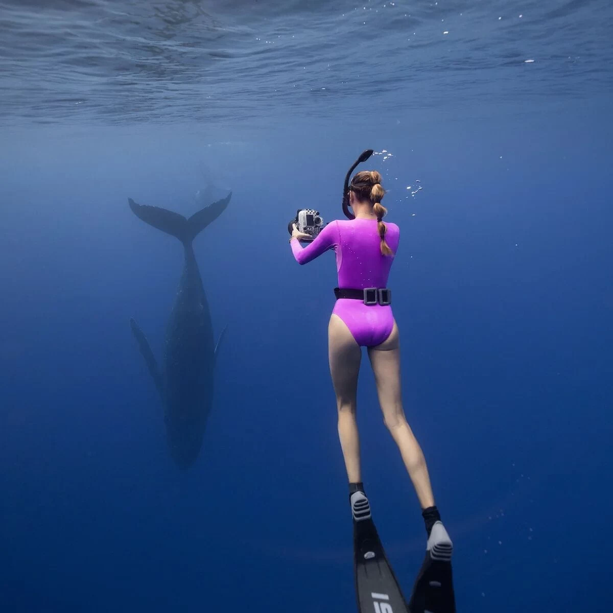 Harper Surf Suit - Women's 1 Harper Surf Suit - Women's