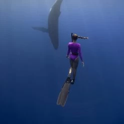 Harper Surf Suit - Women's 10 Harper Surf Suit - Women's -Seea Shop JAZCSK D5