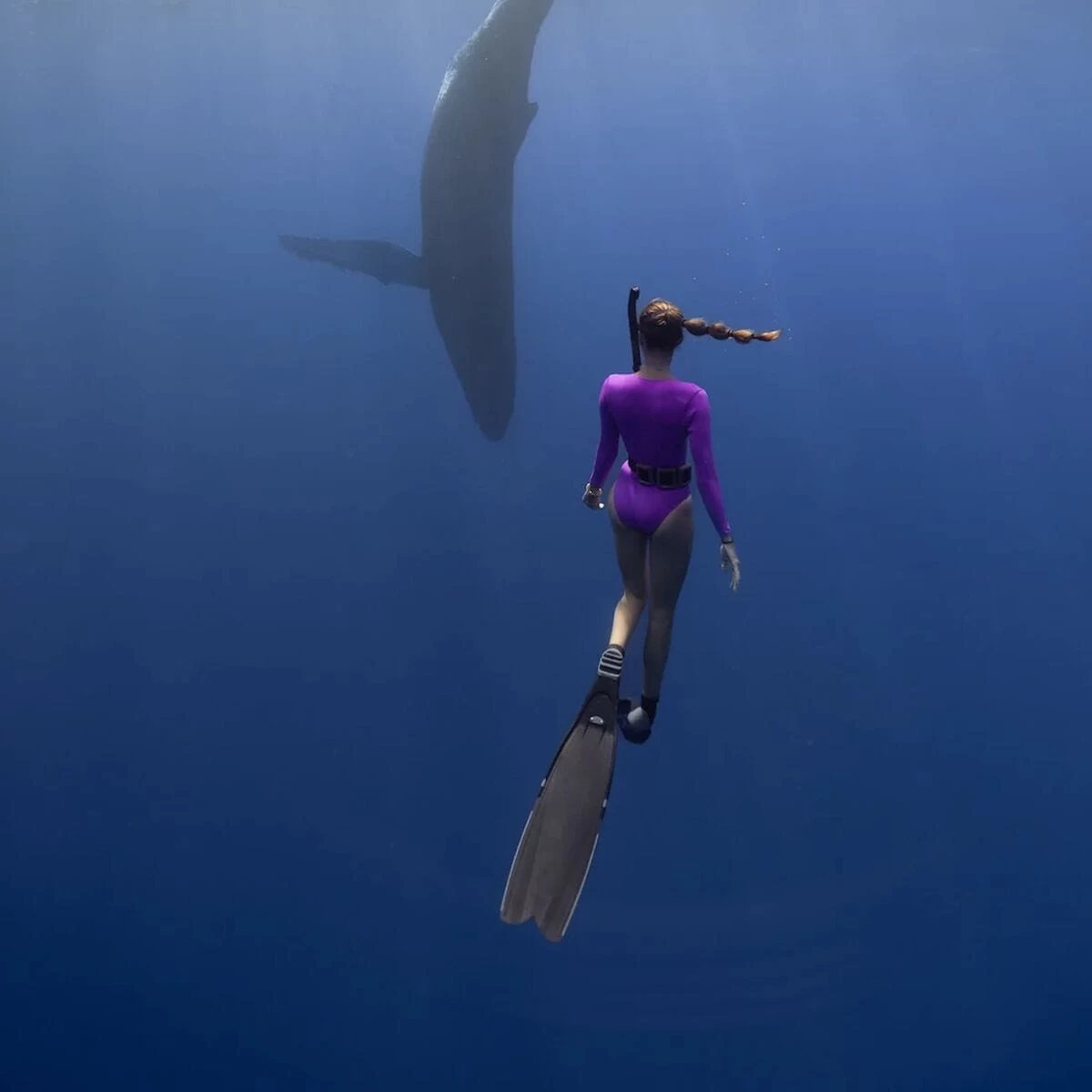 Harper Surf Suit - Women's 4 Harper Surf Suit - Women's - Image 4