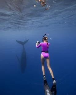 Harper Surf Suit - Jazzberry 16 Harper Surf Suit - Jazzberry -Seea Shop SEEA Harper Surfsuit Jazzberry LS 4X5 2