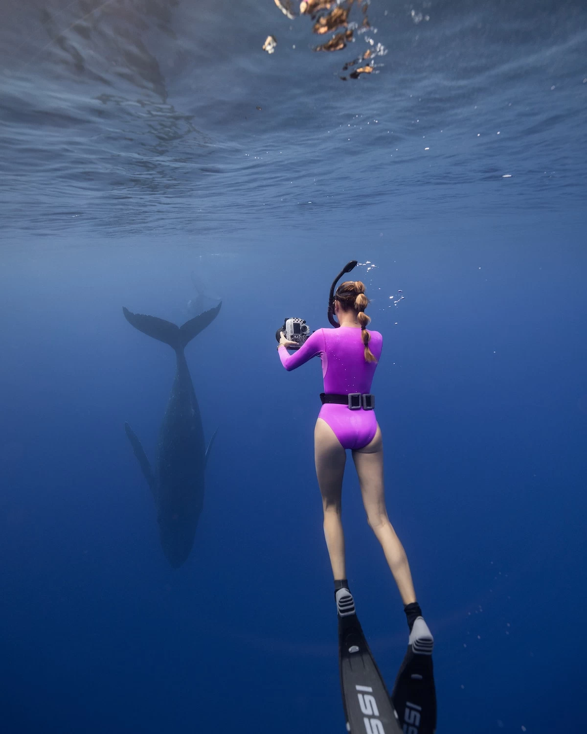 Harper Surf Suit - Jazzberry 8 Harper Surf Suit - Jazzberry - Image 8