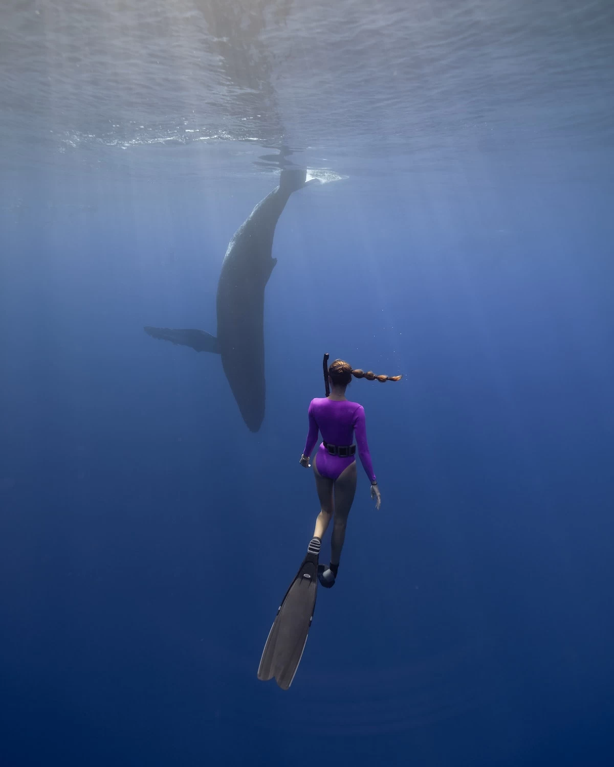 Harper Surf Suit - Jazzberry 2 Harper Surf Suit - Jazzberry - Image 2